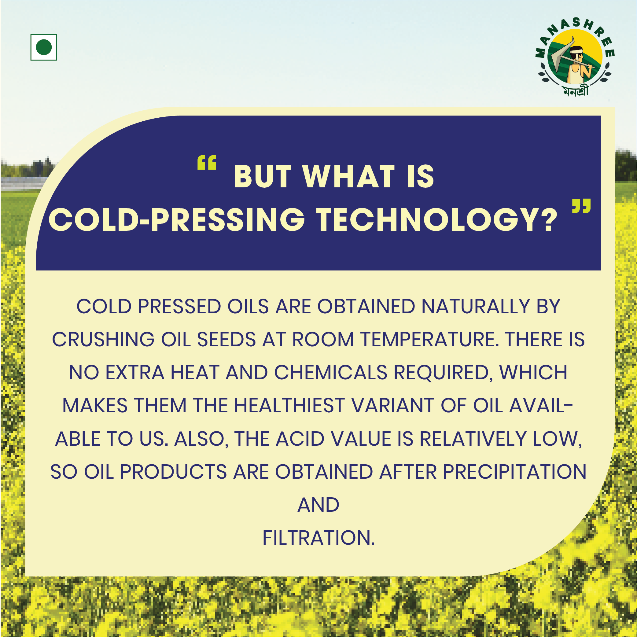 Premium Cold-Pressed Mustard Oil – Self cultivated Seeds